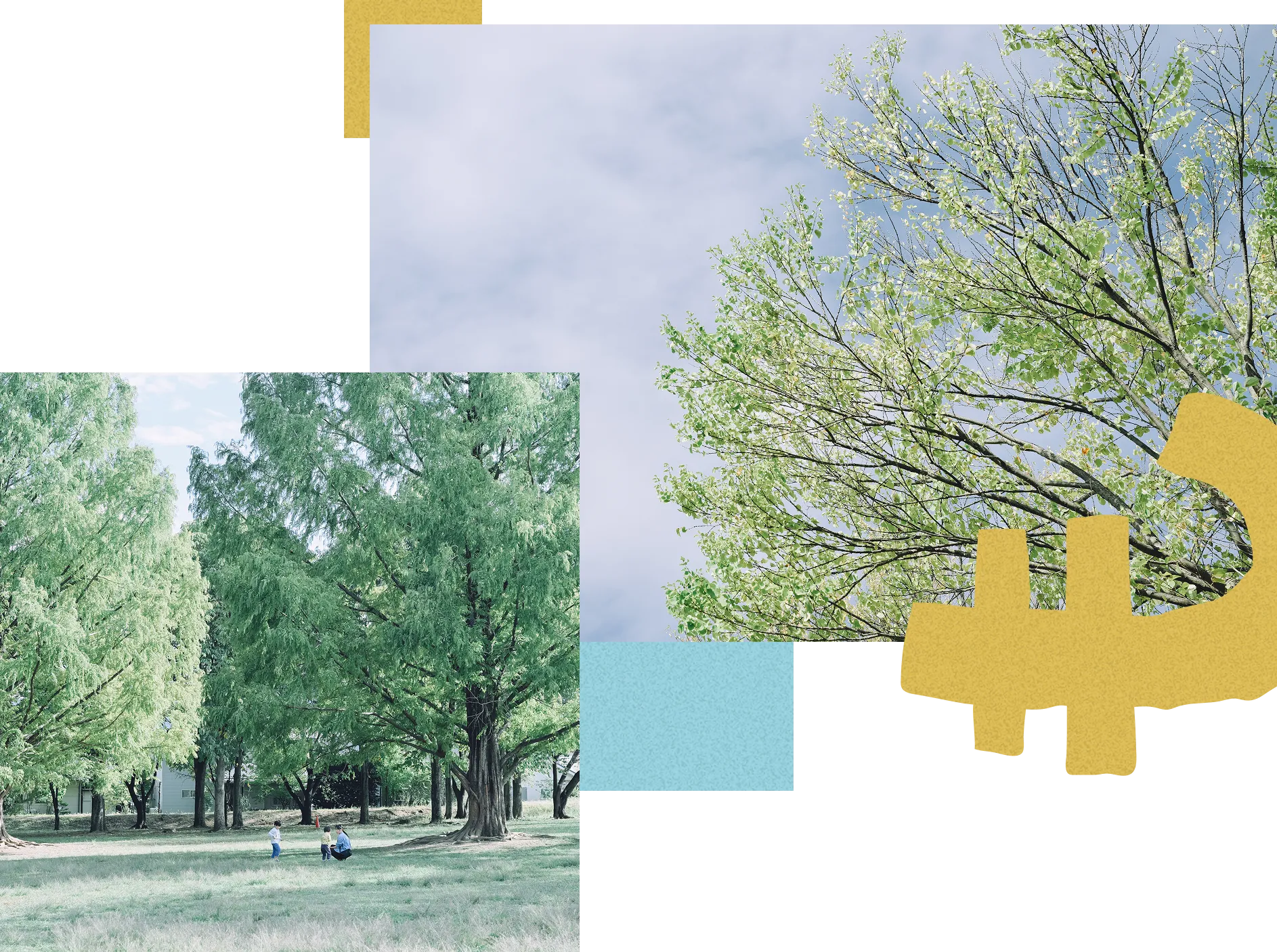 青空と豊かな緑の木々が重なり合う風景